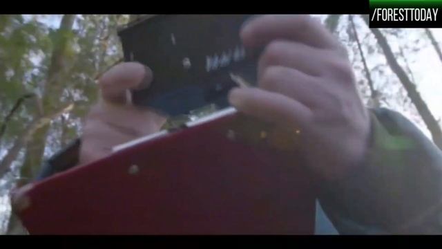 В память об отце русского лесоводства – Георгии Федоровиче Морозове смотреть онлайн