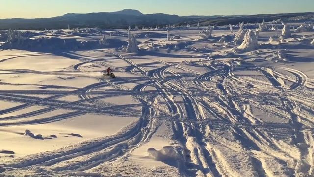 Boondocker 2016 смотреть онлайн