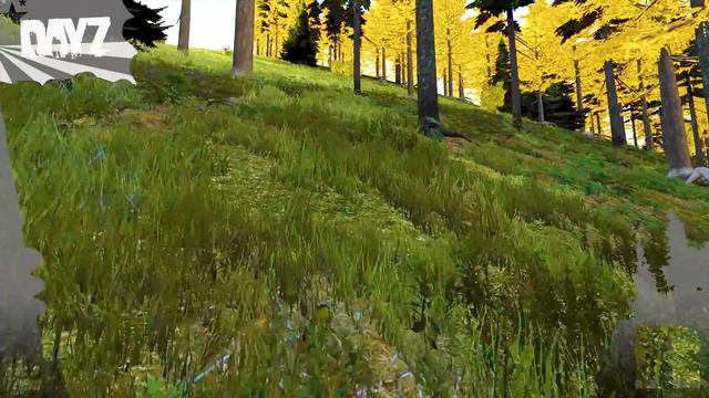 Defend the Camp - DayZ Standalone [German] смотреть онлайн