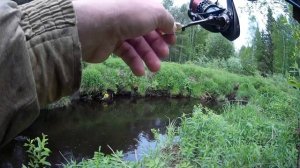 Хариус и елец на спиннинг, мормышинг