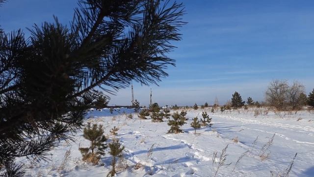 К чему приходит кошка в дом: народные приметы и суеверия. Реальность жизни смотреть онлайн