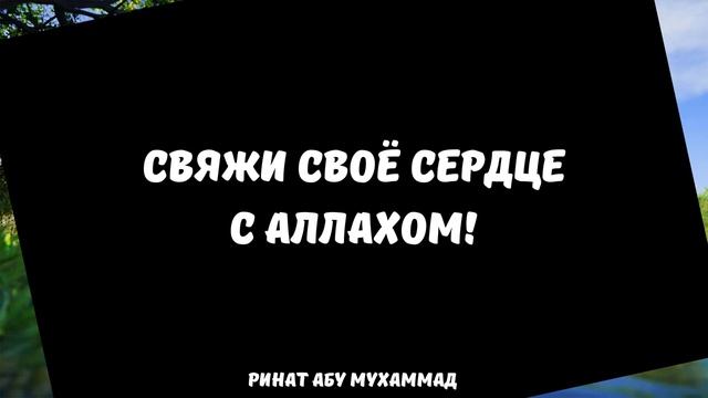 Свяжи свое сердце с Аллахом || Ринат Абу Мухаммад смотреть онлайн