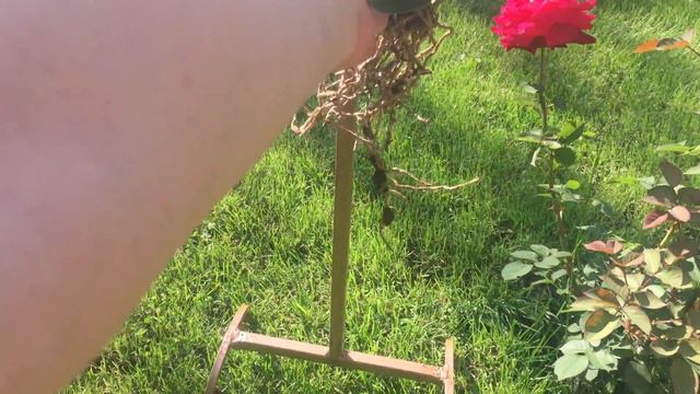 СПАСАЕМ КАТТЛЕЮ!!! смотреть онлайн