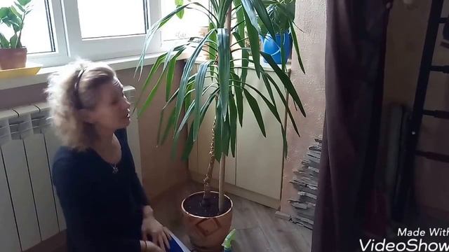 Душ для пальмы/ Бережем корни! смотреть онлайн