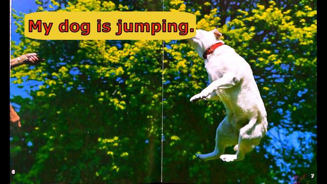 My dog | Story reading | English for kids | Present Continuous | ESL materials смотреть онлайн