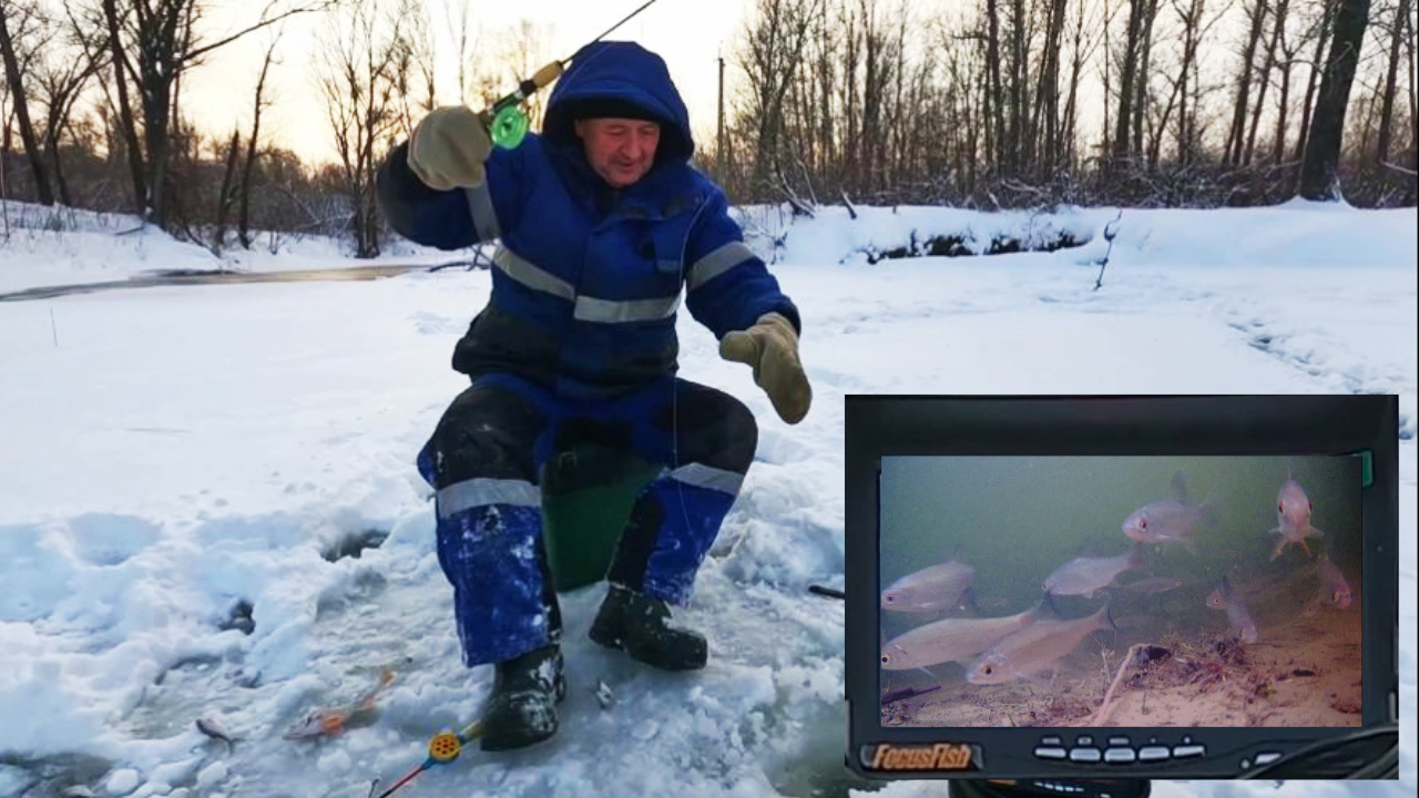 ВЫГУЛИВАЕМ ГОСТЕЙ ! ( Сузун ) 3 января 2024г. Рыбалка из-за стола ! смотреть онлайн