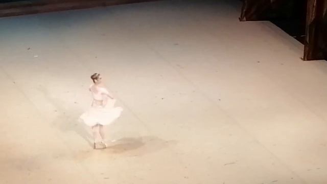 Па-де-катр из балета "Конек-Горбунок", 30.10.20 Самара смотреть онлайн