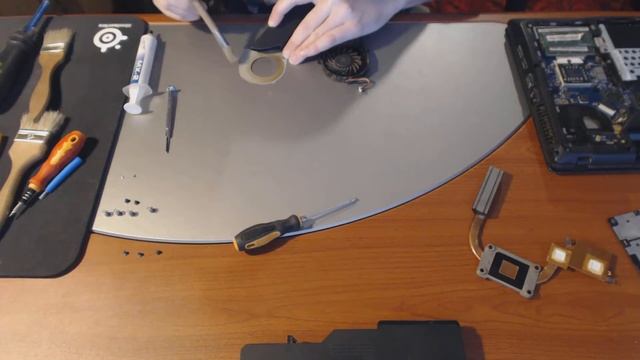 Disassembly Lenovo IdeaPad G565 20071 смотреть онлайн