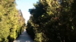 Анапа 09.02.2017г. Ветер. Район школы №7, ул. Ленина, ул. Омелькова.