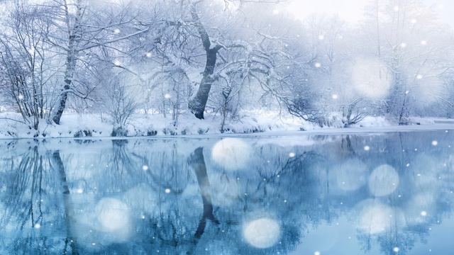 Snow Tango - Plamen Petrov смотреть онлайн