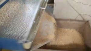 19 сентября 2021 г.Гибкие загрузочные шнеки для зерна.