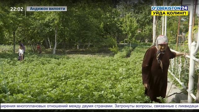 Хотин-қизлар масалалари бўйича Республика ишчи гуруҳининг Андижондаги ўрганишлари смотреть онлайн