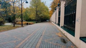 Как пробежать МАРАФОН. Мой первый марафон онлайн. Бег как тренировка.