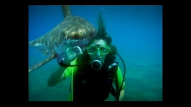 Нежданчик выглядит примерно так . Топ животные.