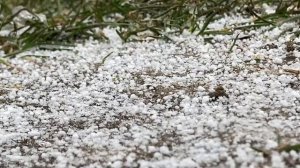 Обычный день на конюшне День Вики конюшня лошади шляйх/ лошади Schleich