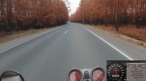 Тест драйв Honda X11 2001 sc42