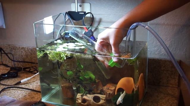 Starting the Siphon Python Mini Pro Aquarium Siphon смотреть онлайн