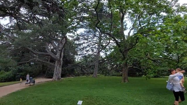 Крым сегодня. Что творится на городском пляже в Алупке, но сначала смотрим Воронцовский парк. смотреть онлайн