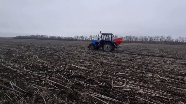 ВНОСИМ СЕЛИТРУ l НАДЕЖДА УМИРАЕТ ПОСЛЕДНЕЙ (ОЗ.ПШЕНИЦА) смотреть онлайн