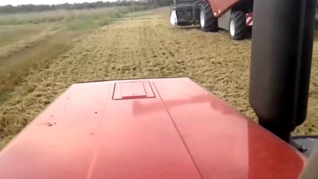 ACROS 560 - сбор урожая в Литве/ACROS 560 - harvesting in Lithuania смотреть онлайн