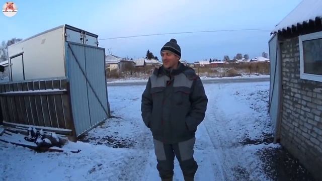 Забой свиньи/ реализация мяса со своего ЛПХ / продажа поросят / подарки от подписчиков продолжаются
