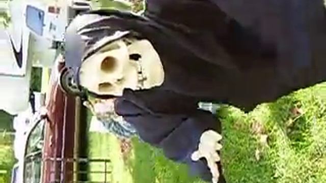 Hey you come here! смотреть онлайн