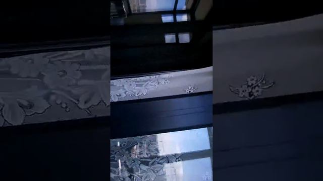 жёсткое похмелье смотреть онлайн