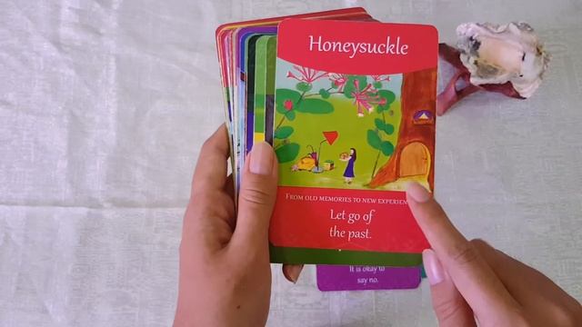 Oracle Card Deck Review: Bach Flower Oracle Deck by Susanne Winberg смотреть онлайн