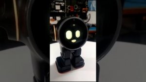 Умный робот Ракс с ИИ на русском языке!!! предзаказы к Новому Году