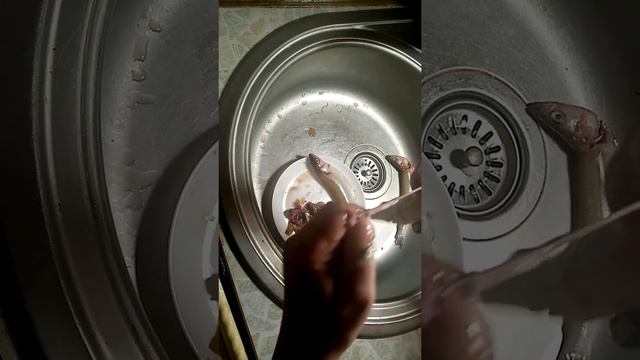 Аксессуары и Мода