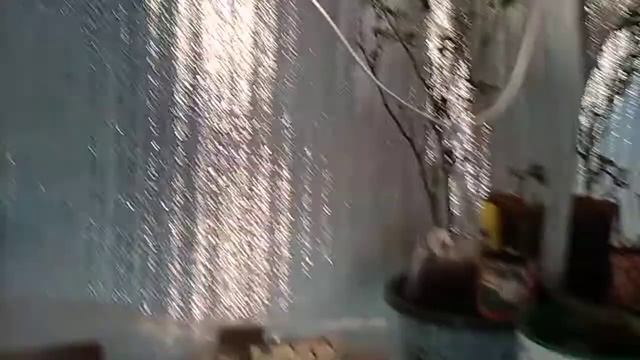 Гроубокс Обогрев лампами накаливания и освещение смотреть онлайн