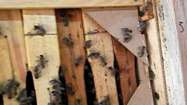 Знакомство с кассетником внутри смотреть онлайн
