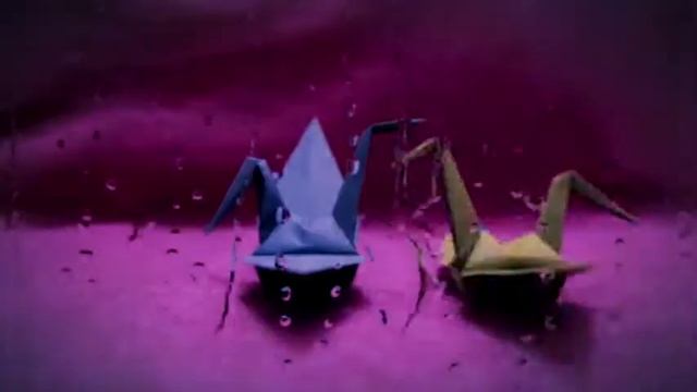 bird couple - stop motion смотреть онлайн