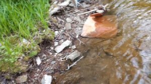 И снова сима. Отличный клев на горной реке / Cherry Salmon at the Mountain Stream