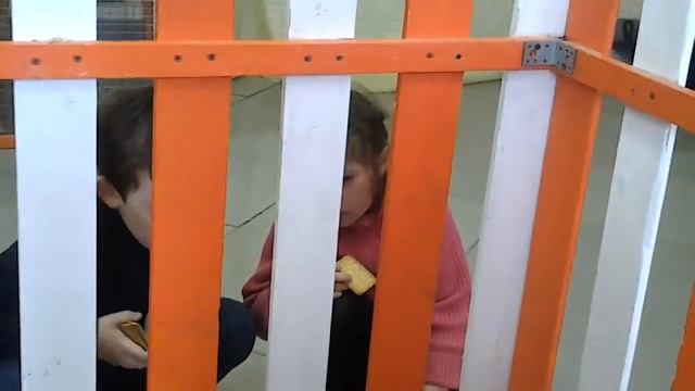 Как выбрать кенгуру для ребенка смотреть онлайн