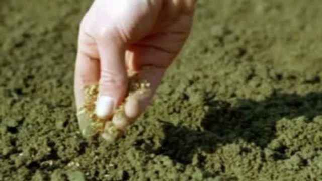 Телепрограмма "Сельское время" от 14 января 2011 года. смотреть онлайн