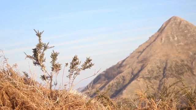 Ченнелинг ТОТа Методика для исполнения желаний смотреть онлайн