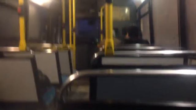 Western Greyhound Mercedes Vario Y28 WGL Service 593 смотреть онлайн