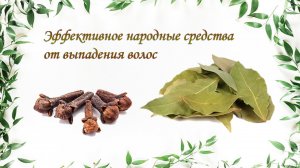 Простое средство от ВЫПАДЕНИЯ ВОЛОС | Копеечный Ингредиент поможет Остановить ВЫПАДЕНИЕ ВОЛОС