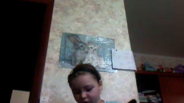 Сколько же денег уходит на животных