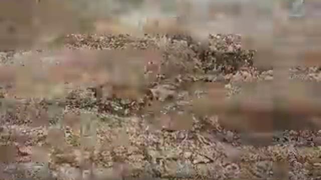 Мастера маскировки смотреть онлайн