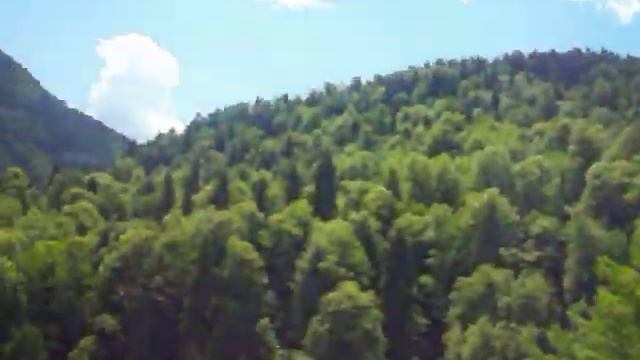 Природа Абхазии часть 2 (над рекой).супер красиво смотреть онлайн