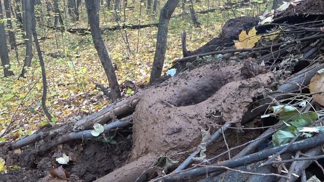bushcraft землянка. Улучшение тяги печи, устранение дыр и начало изготовления лука выживания смотреть онлайн