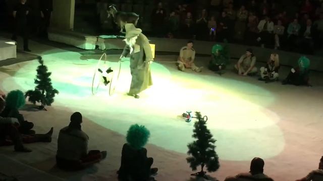 Представление с кнутом ? смотреть онлайн