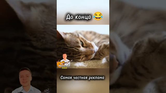 Правдивая реклама корма