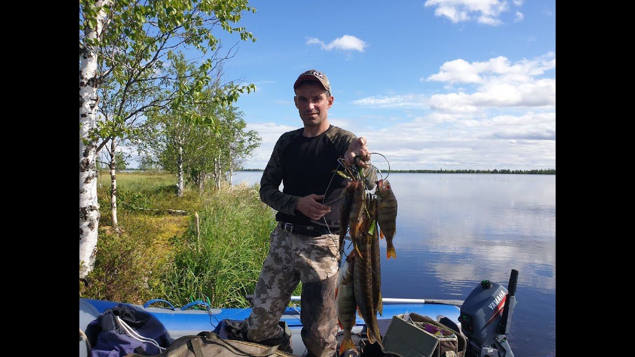 ЭТО ТАЁЖНОЕ ОЗЕРО УДИВИЛО НАС РАЗМЕРАМИ ОКУНЕЙ.РЫБАЛКА НА СПИННИНГ. смотреть онлайн