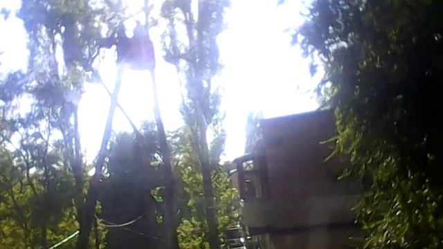 Это сегодня пилит дерево большое-пребольшое еще день сама это учеба смотреть онлайн