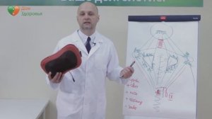 Александр Малко  Массажная подушка Дом Здоровья