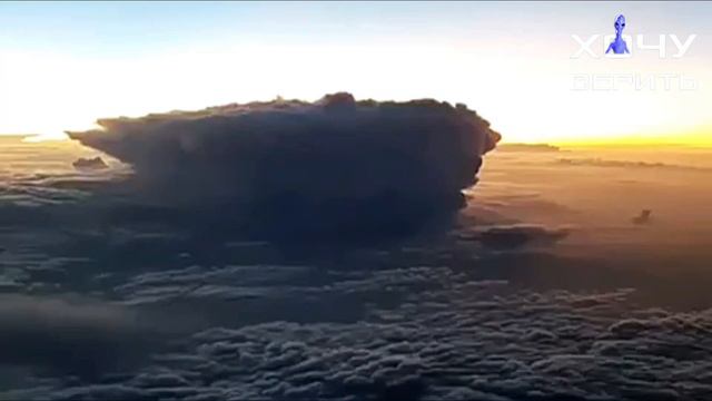 Являются ли НЛО живыми существами? смотреть онлайн