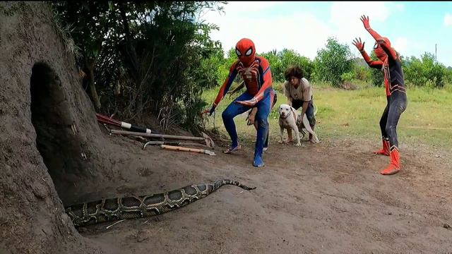 Đội Người Nhện và Pitbull Chiến đấu với Quái vật King Kong để cứu Thợ săn. смотреть онлайн